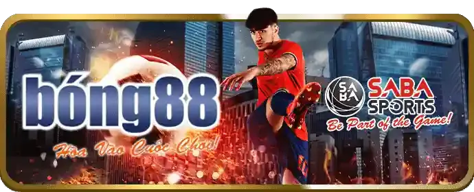 Kèo nhà cái là gì? Kinh nghiệm đọc kèo nhà cái từ chuyên gia